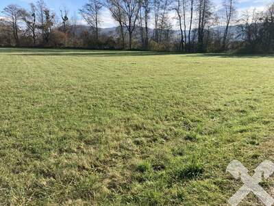 Gewerbeobjekt kaufen in 8341 Paldau (Bild 4)