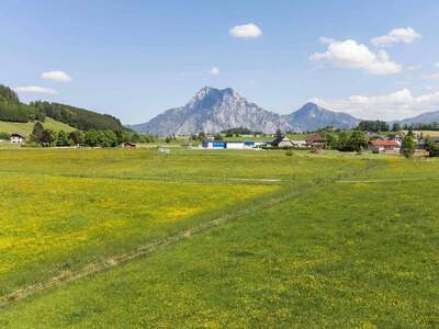 Haus kaufen in 4814 Altmünster