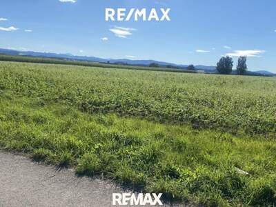 Haus kaufen in 4851 Gampern (Bild 2)