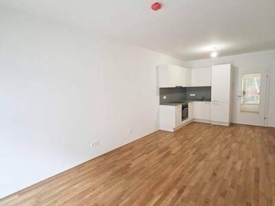 Wohnung mieten in 8010 Graz