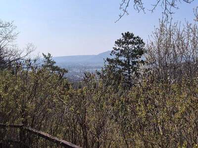 Grundstück kaufen in 2103 Langenzersdorf (Bild 2)