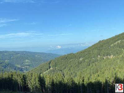 Gewerbeobjekt kaufen in 9400 Wolfsberg