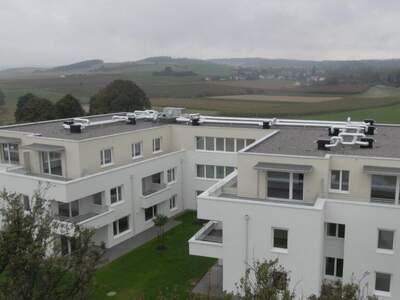 Terrassenwohnung mieten in 3062 Kirchstetten (Bild 1)