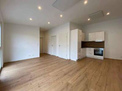 Wohnung provisionsfrei mieten in 7000 Eisenstadt