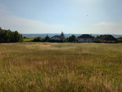 Grundstück kaufen in 3580 Horn (Bild 1)