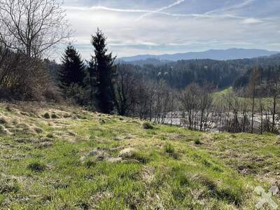 Grundstück kaufen in 8551 Wies