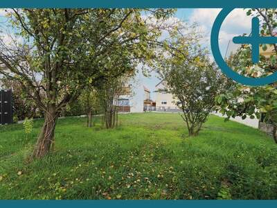 Grundstück kaufen in 1220 Wien