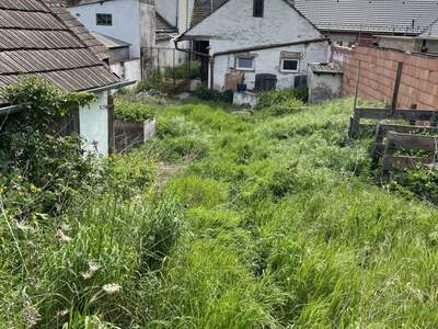 Haus kaufen in 2123 Wolfpassing (Bild 4)