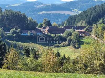 Gewerbeobjekt kaufen in 4294 Sankt Leonhard