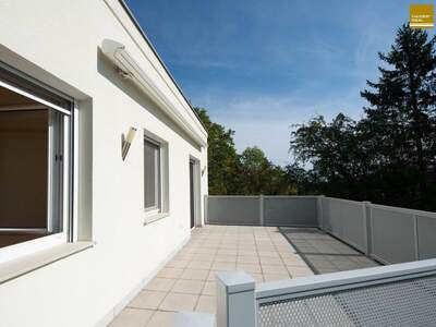 Haus kaufen in 3400 Klosterneuburg