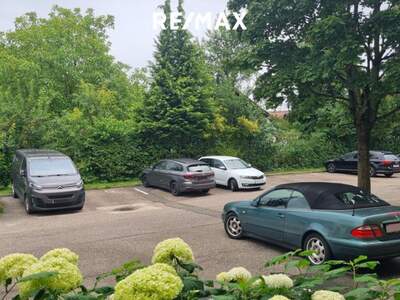 Altbauwohnung kaufen in 4863 Seewalchen (Bild 4)