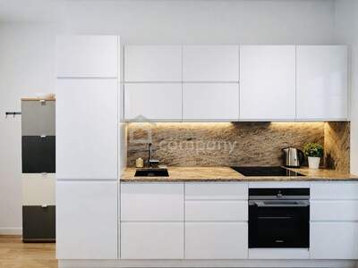 Altbauwohnung kaufen in 1190 Wien (Bild 2)