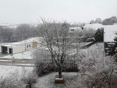 Wohnung kaufen in 3441 Judenau (Bild 5)