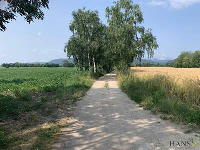Gewerbeobjekt kaufen in 2732 Willendorf