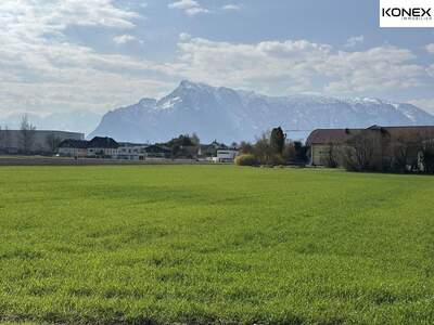 Grundstück kaufen in 5020 Salzburg