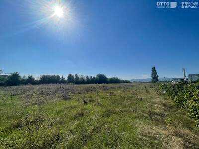 Gewerbeobjekt kaufen in 2521 Trumau (Bild 5)