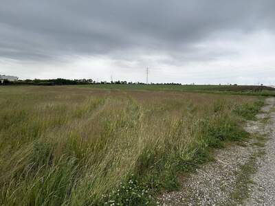 Grundstück kaufen in 2201 Gerasdorf