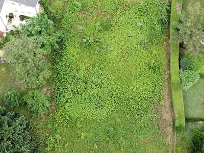 Grundstück kaufen in 4351 Dornach (Bild 2)