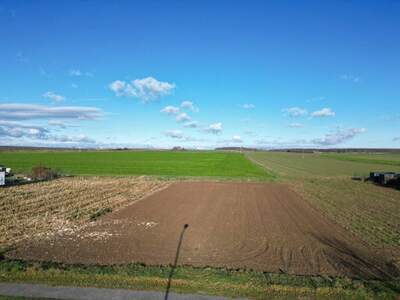 Grundstück kaufen in 7361 Lutzmannsburg