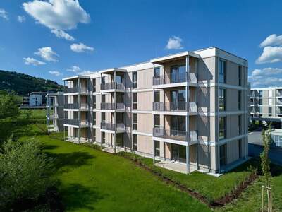 Wohnung mieten in 8230 Hartberg