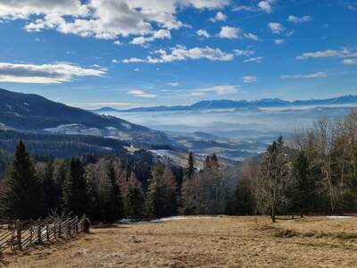 Grundstück kaufen in 9431 Wolfsberg (Bild 2)