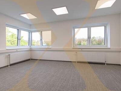 Gewerbeobjekt mieten in 4060 Leonding (Bild 1)