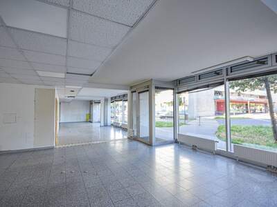 Gewerbeobjekt mieten in 1230 Wien (Bild 1)