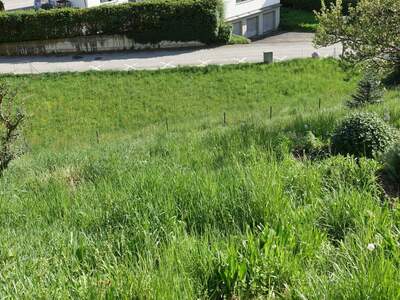 Grundstück kaufen in 8101 Gratkorn (Bild 4)