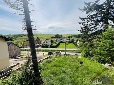 Grundstück kaufen in 2123 Hautzendorf (Bild 5)