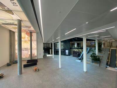 Gewerbeobjekt mieten in 1210 Wien (Bild 4)