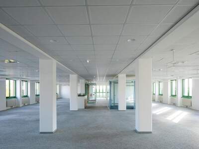 Gewerbeobjekt mieten in 1220 Wien (Bild 2)