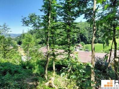 Grundstück kaufen in 5322 Hof