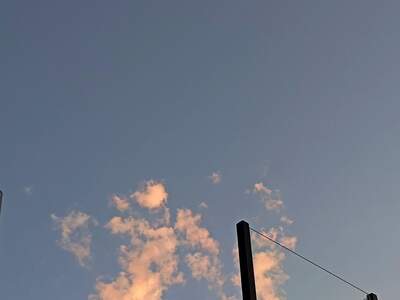 Mietwohnung in 1190 Wien (Bild 5)