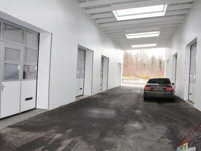 Immobilie mieten in 2401 Fischamend (Bild 4)