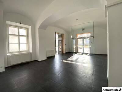 Gewerbeobjekt mieten in 1020 Wien (Bild 5)
