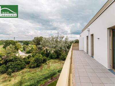 Terrassenwohnung kaufen in 1210 Wien (Bild 3)