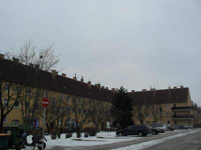 Wohnung mieten in 2700 Wr. Neustadt (Bild 4)