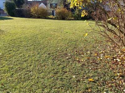 Mehrfamilienhaus kaufen in 2404 Petronell (Bild 3)