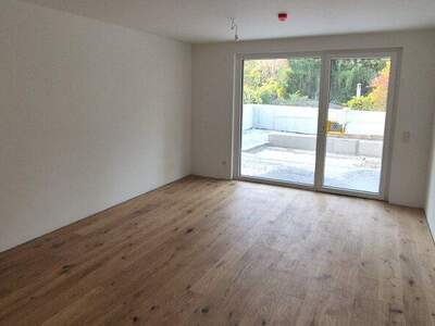 Terrassenwohnung kaufen in 1210 Wien (Bild 2)