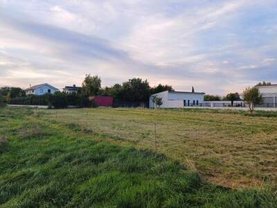 Grundstück kaufen in 7141 Podersdorf (Bild 3)