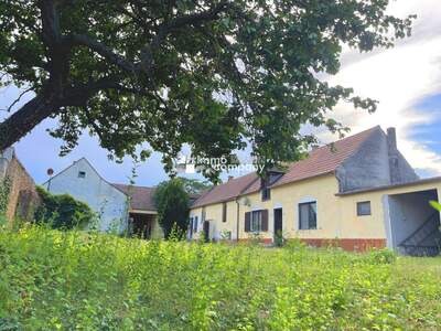 Haus kaufen in 7091 Breitenbrunn