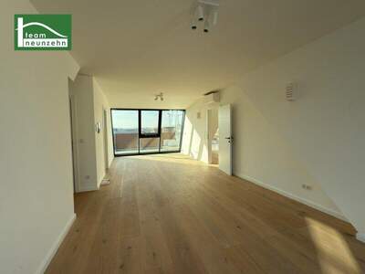 Terrassenwohnung kaufen in 1220 Wien (Bild 3)