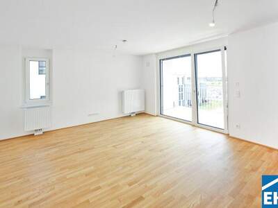 Terrassenwohnung mieten in 1220 Wien (Bild 1)