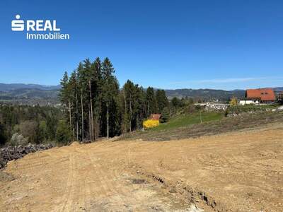 Grundstück kaufen in 8570 Voitsberg (Bild 1)