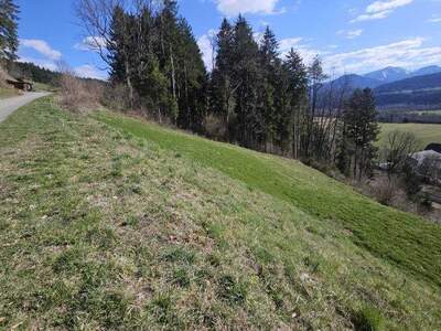 Grundstück kaufen in 9702 Ferndorf (Bild 4)