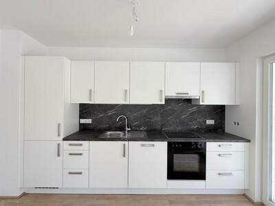 Terrassenwohnung kaufen in 1100 Wien (Bild 3)