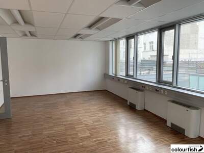 Gewerbeobjekt mieten in 1190 Wien (Bild 4)