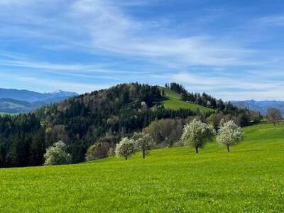 Grundstück kaufen in 3263 Perwarth