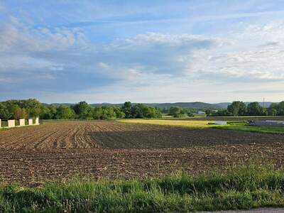 Grundstück provisionsfrei kaufen in 7022 Schattendorf