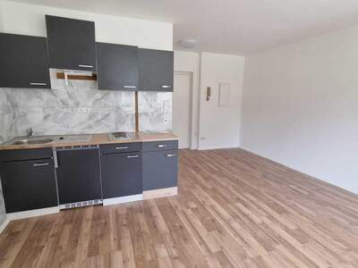 Anlageobjekt kaufen in 1130 Wien (Bild 4)